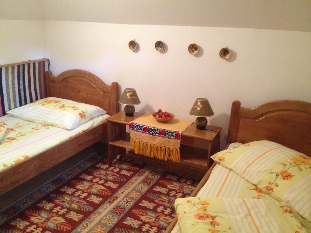 Pensiunea Turlas Maria Salistea de Sus Room photo