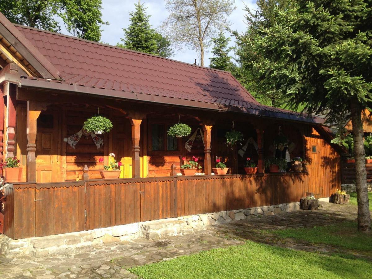 Pensiunea Turlas Maria Salistea de Sus Exterior photo